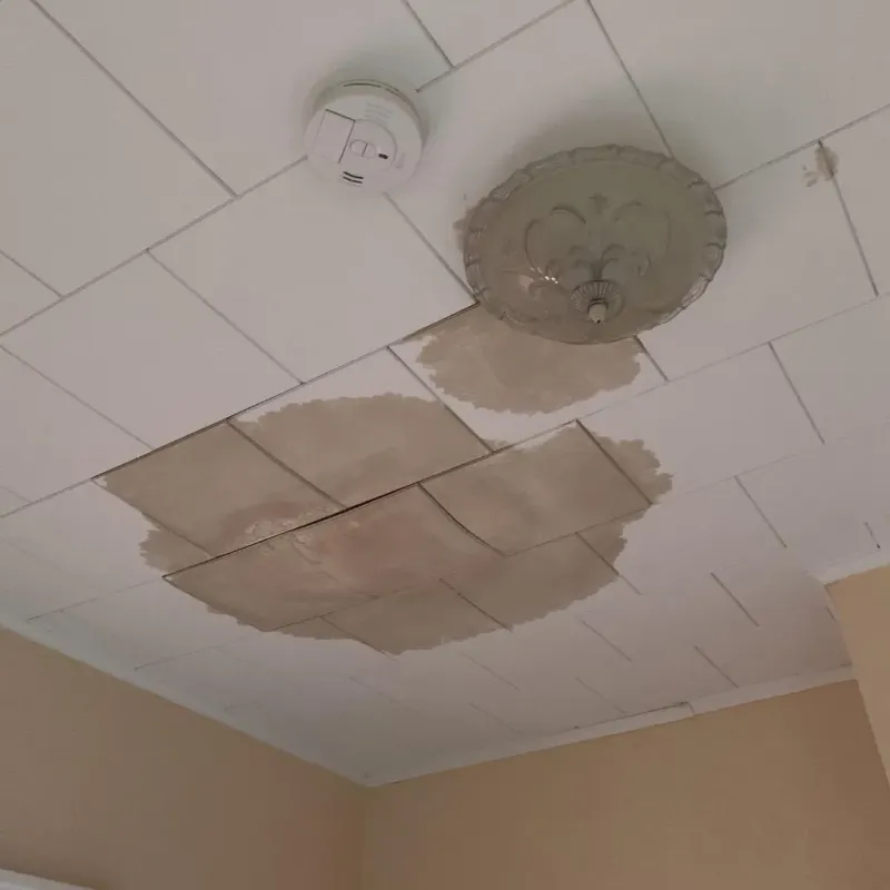 Ceiling Water Damage Repair in Zion, PA