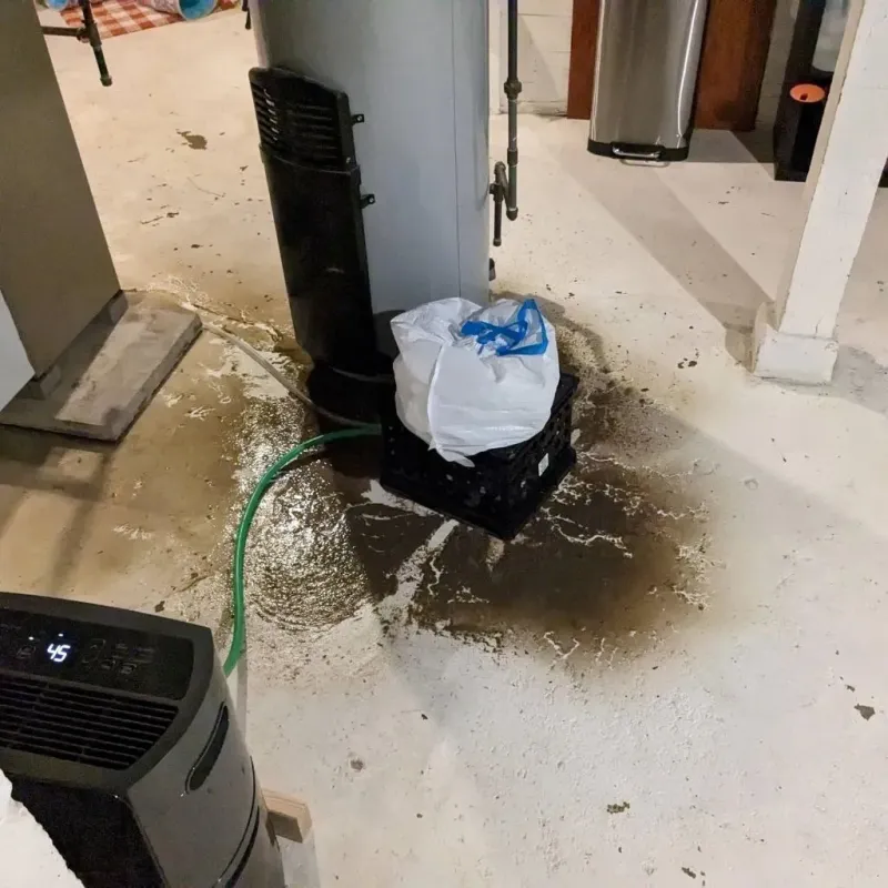 Sewage Backup Cleanup Service in Zion, PA